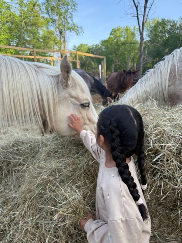 FARM VISITS