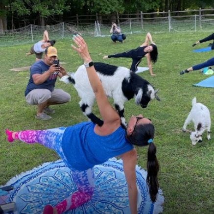 GoatYoga