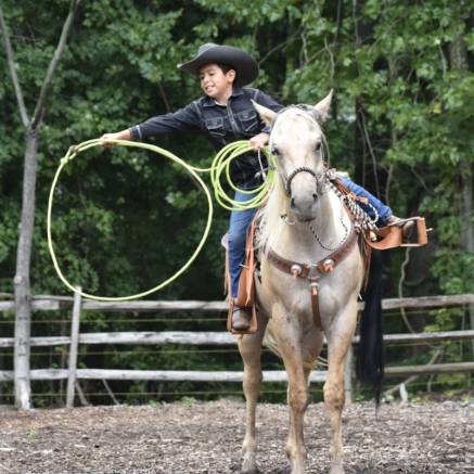 PRIVATE HORSE LESSONS (WESTERN)2