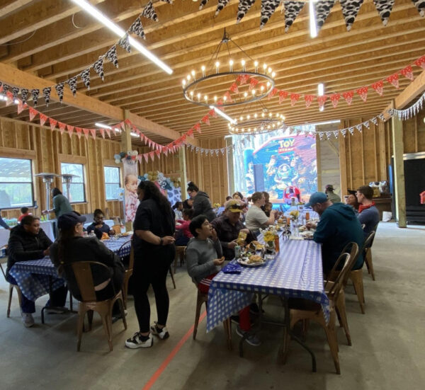 ON FARM PARTY
