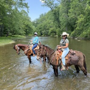 ALL DAY GUIDED TRAIL RIDE WITH PICNIC