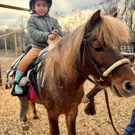 PONY RIDE